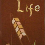 This banner was made for Harvest.