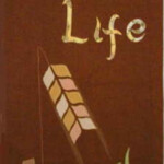 This banner was made for Harvest.